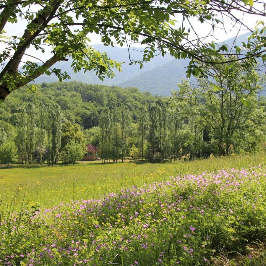 Grand Village Исмаиллы Экстерьер фото